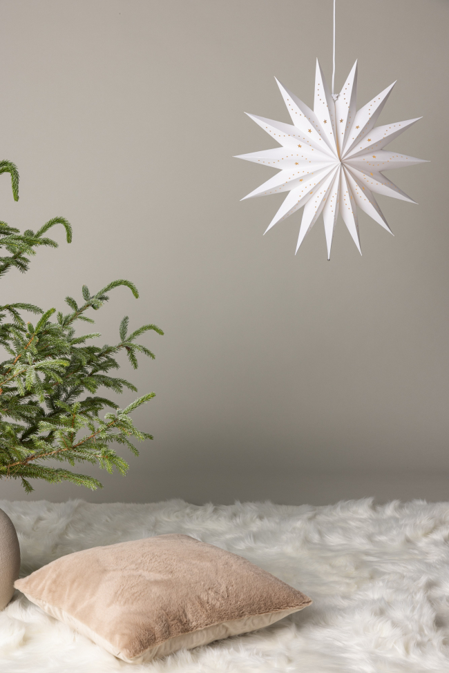 Étoile de Noël 'Sala' - Blanc