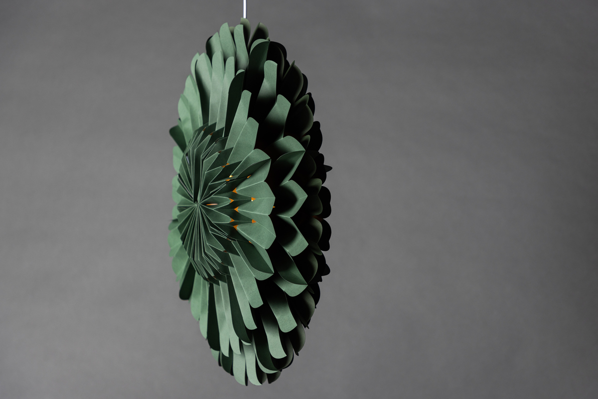 Étoile de l'Avent 'Mora' - Vert