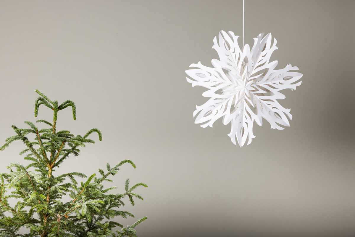 Étoile de l'Avent 'Kungälv' - Blanc