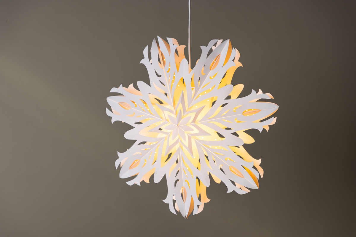 Étoile de l'Avent 'Kungälv' - Blanc