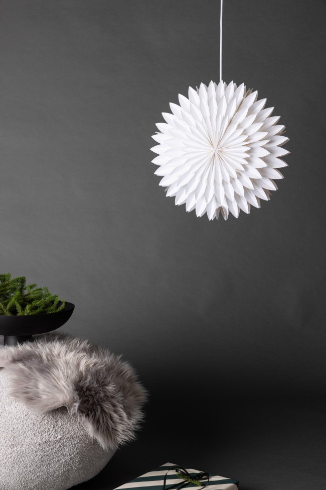 Étoile de Noël 'Örnsköldsvik' - Blanc