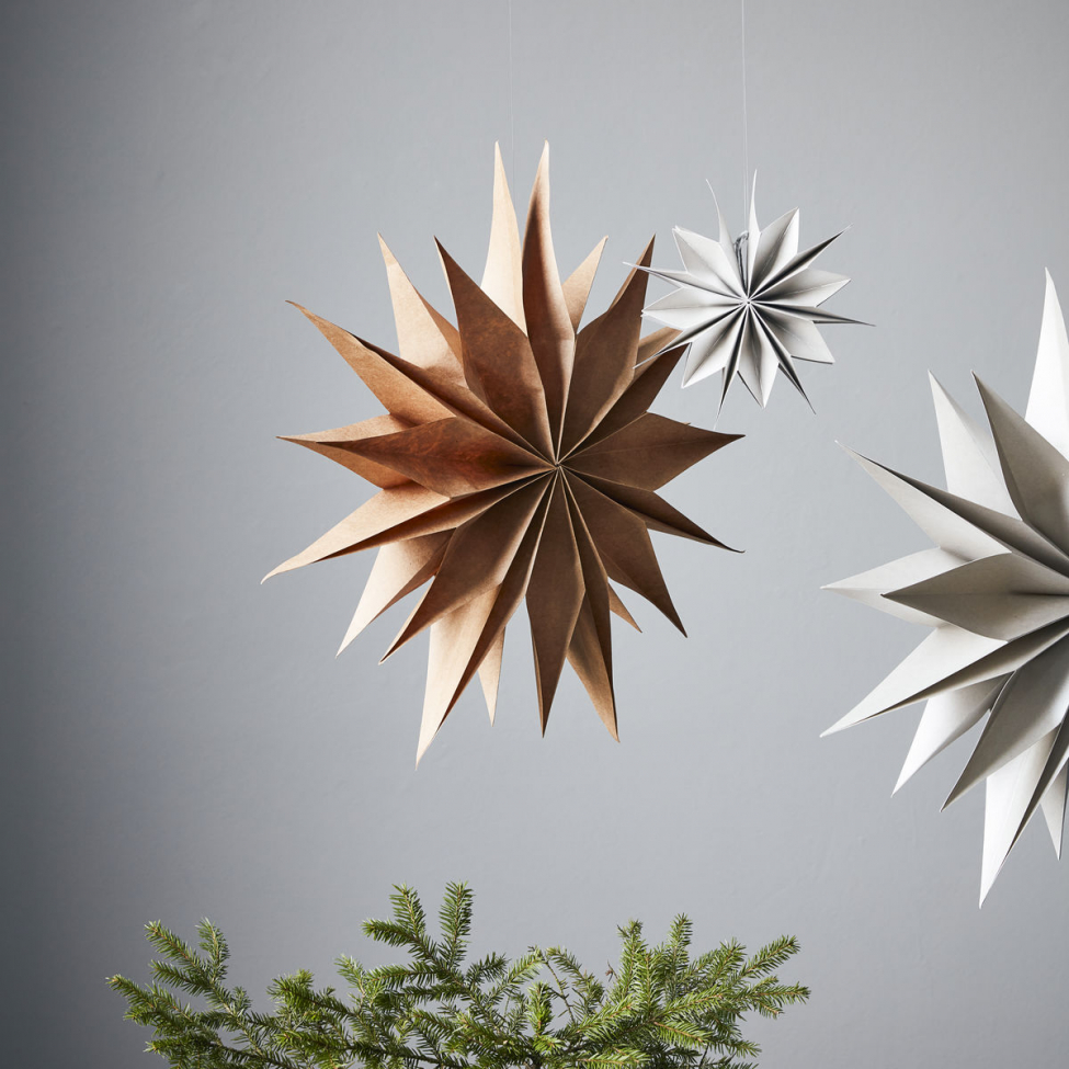 Étoile de Noël 'Capella' L - Nature