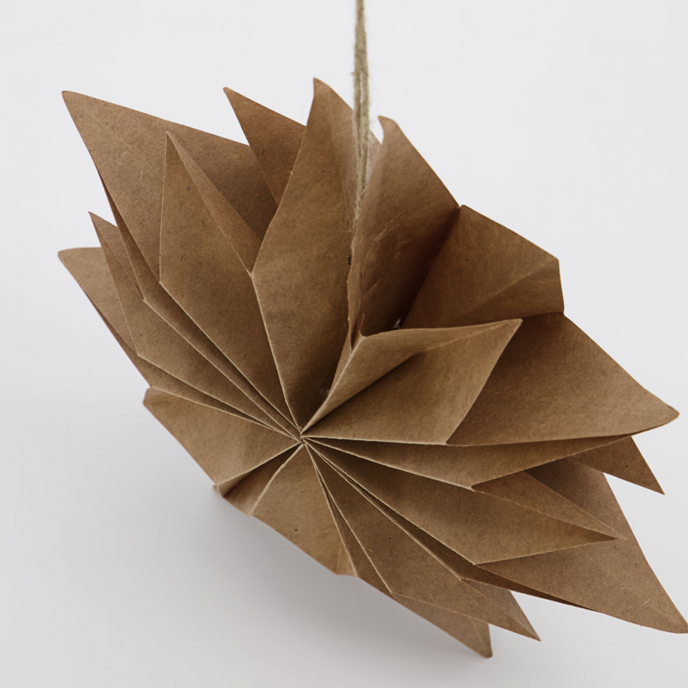 Étoile de Noël 'Capella' S - Nature