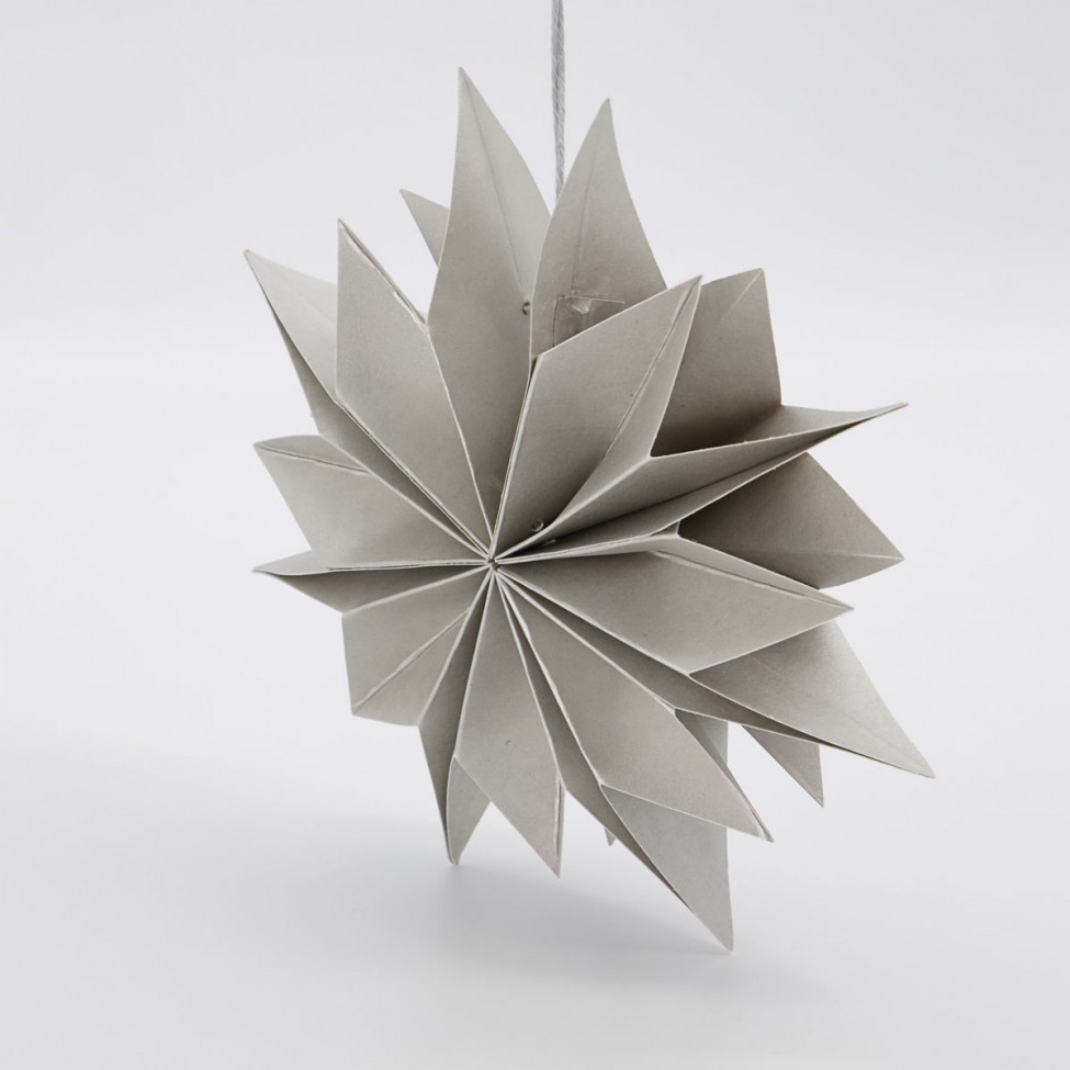 Étoile de Noël 'Capella' - Perle