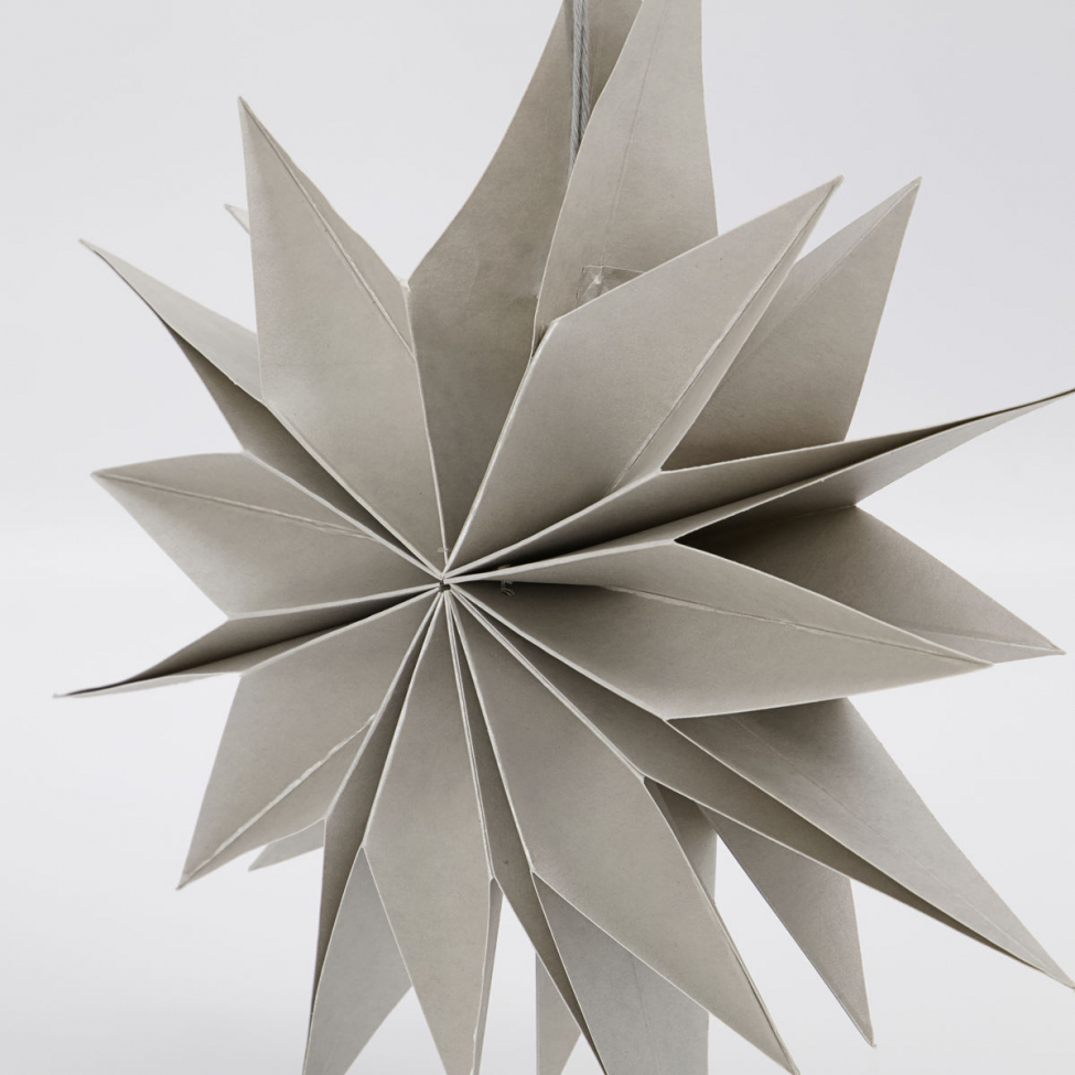 Étoile de Noël 'Capella' - Perle S