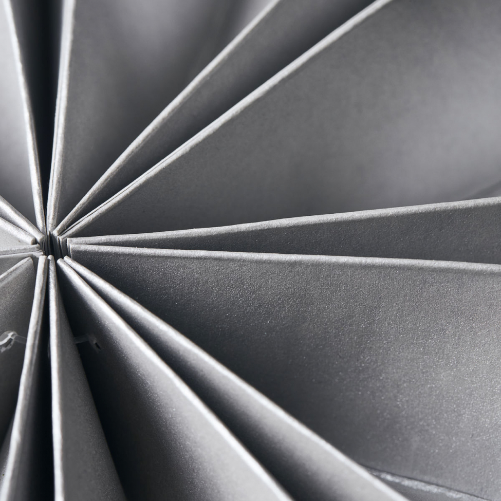 Étoile de Noël 'Capella' - Perle S