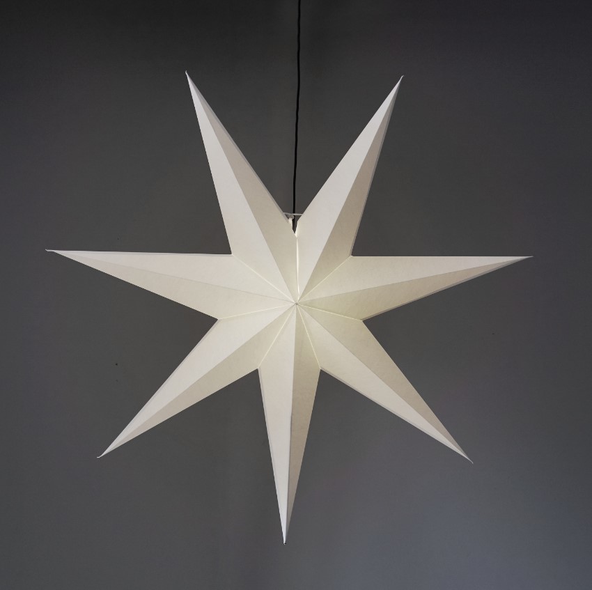 Étoile de Noël 'Frozen' - Blanc