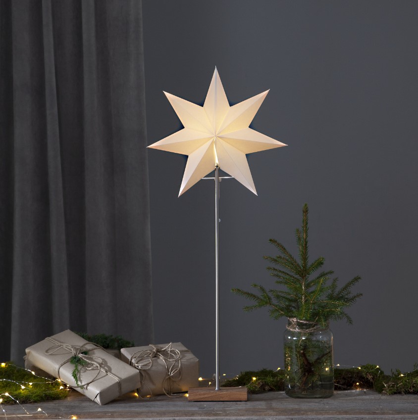 Étoile de Noël 'Totto' - Debout