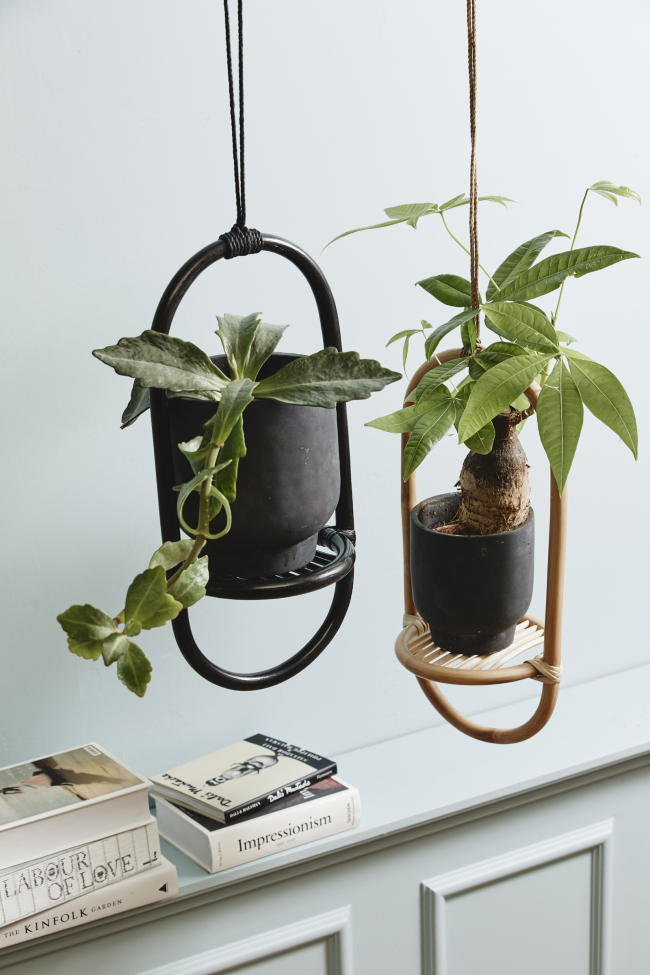 Ampoule 'ELBA' - Nature