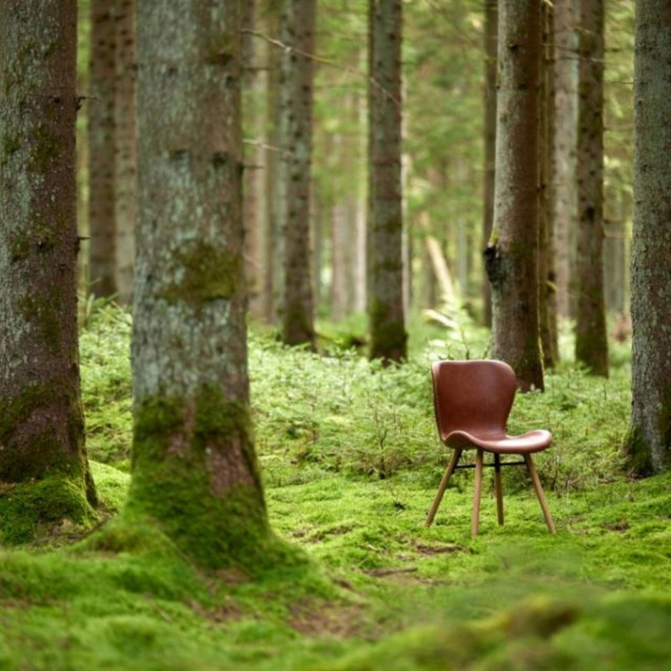 Chaise 'Böda' - Nature/Marron