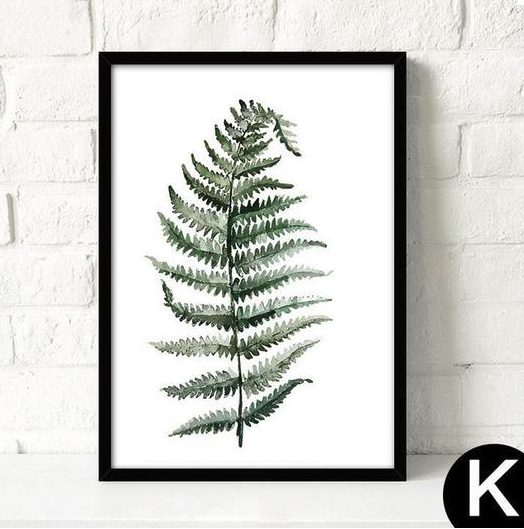 Affiche Canvas L - Plante tropicale 10