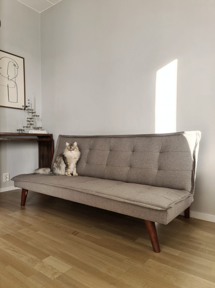 Canapé-lit 'Eucalyptus' - Beige