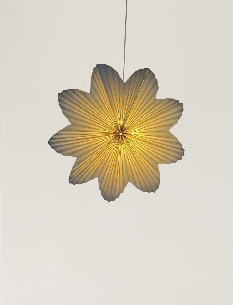 Étoile de l'Avent 'Daisy' 60cm - Blanc