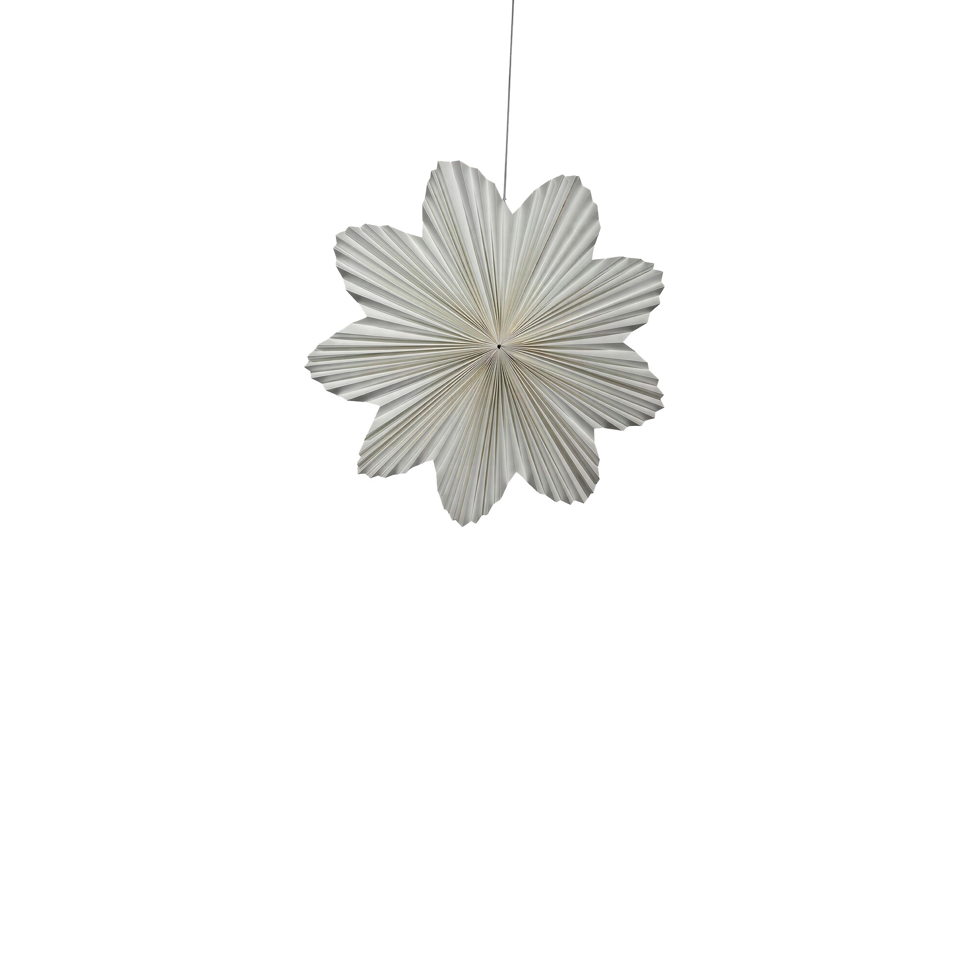 Étoile de l'Avent 'Daisy' 60cm - Blanc