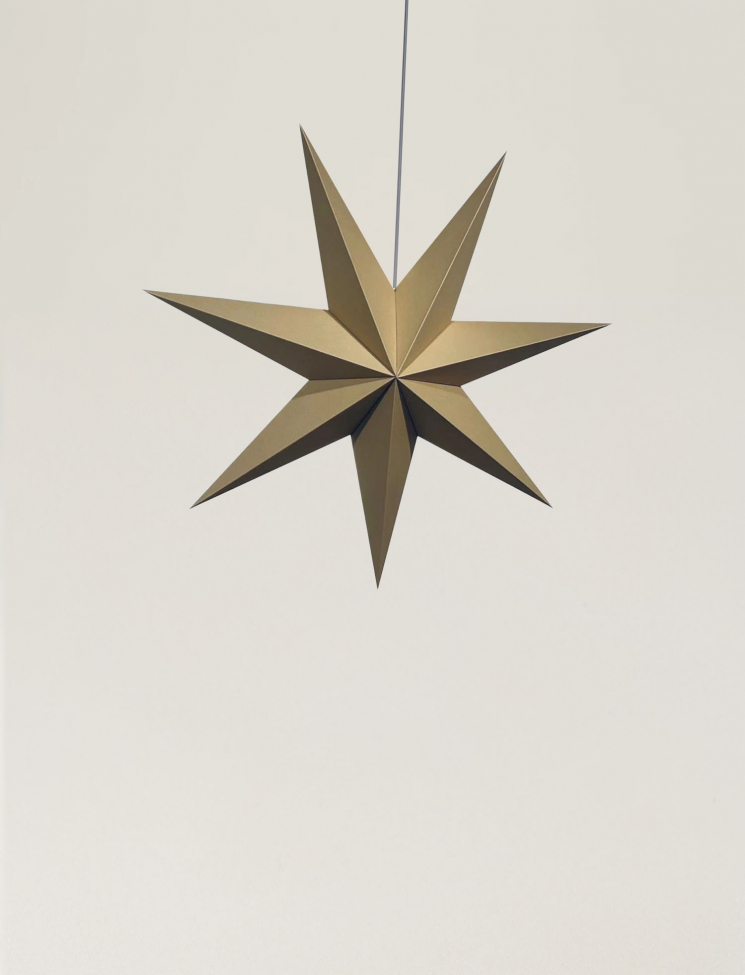 Étoile de l'Avent 'Sally' 60cm - Marron